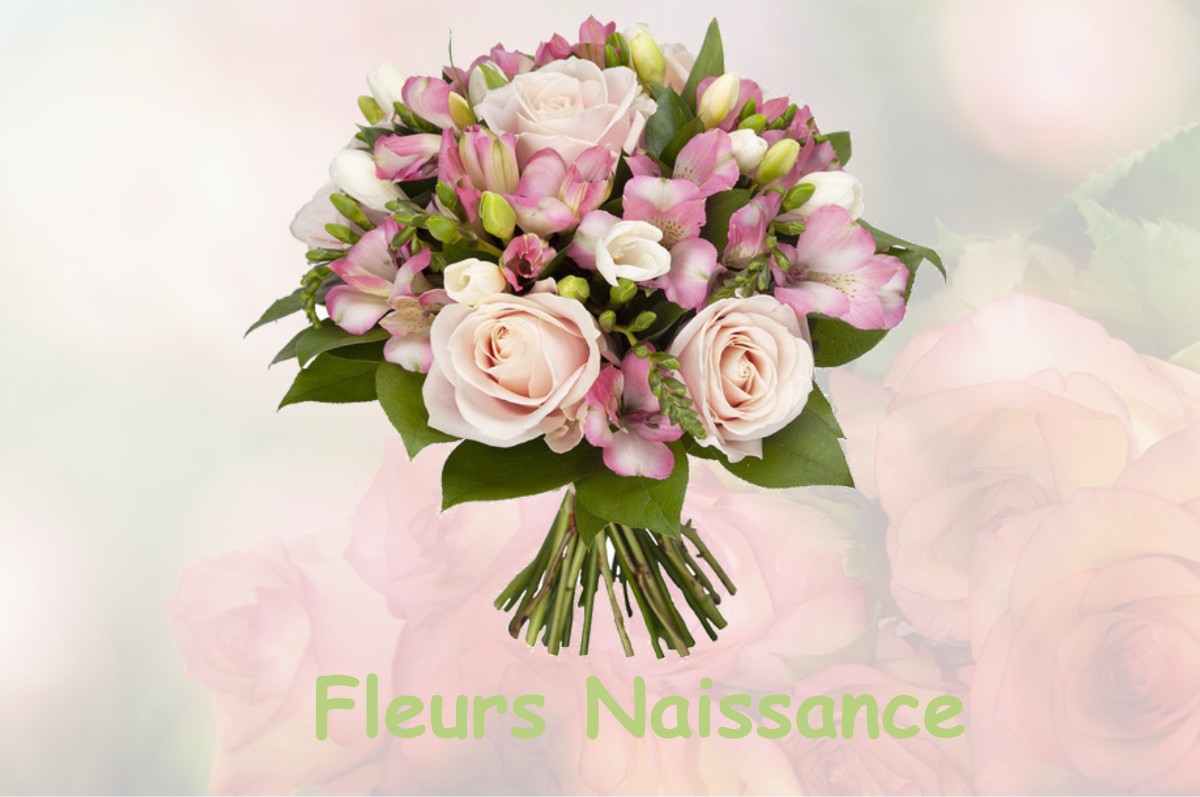 fleurs naissance SAINT-ANDRE-DE-MESSEI