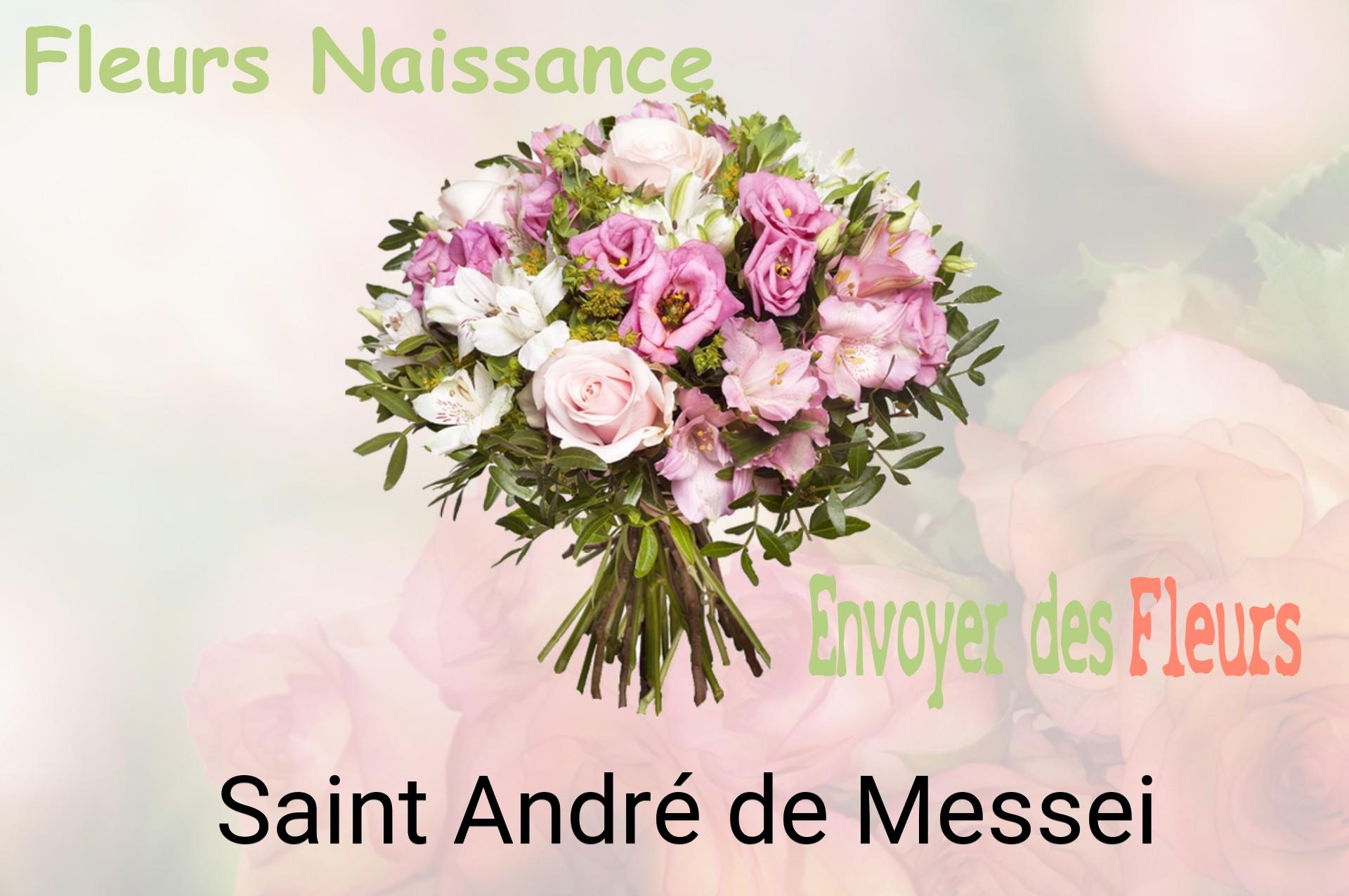 Bouquet de fleurs de naissance livré à Saint-André-de-Messei